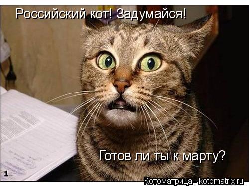 Российский кот! Задумайся! Готов ли ты к марту?... Котоматрица: Российский кот! Задумайся! Готов ли ты к марту?
