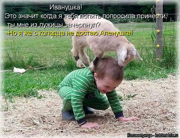 Котоматрица: Это значит когда я тебя попить попросила принести, ты мне из лужицы зачерпнул? Иванушка! -Но я же с колодца не достаю,Аленушка!