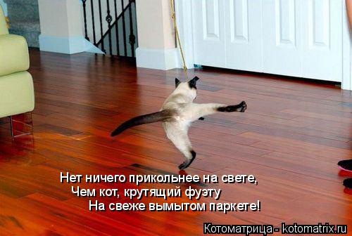 Нет ничего прикольнее на свете, Чем кот, крутящий фуэту На свеже вымытом паркете!... Котоматрица: Нет ничего прикольнее на свете, Чем кот, крутящий фуэту На свеже вымытом паркете!