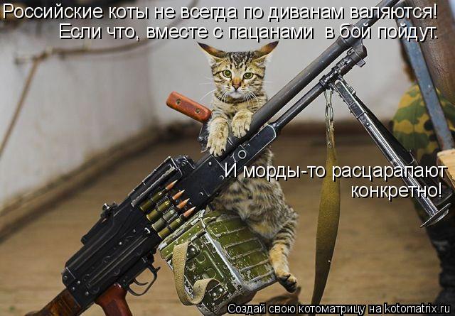 Российские коты не всегда по диванам валяются! Если что, вместе с пацанами в бой пойдут. И морды-то ... Котоматрица: Российские коты не всегда по диванам валяются! Если что, вместе с пацанами в бой пойдут. И морды-то расцарапают конкретно!