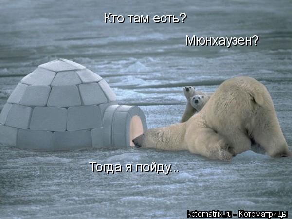 Кто там есть? Мюнхаузен? Тогда я пойду...... Котоматрица: Кто там есть? Мюнхаузен? Тогда я пойду...