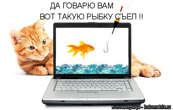 ДА ГОВАРЮ ВАМ ВОТ ТАКУЮ РЫБКУ СЪЕЛ !!... Котоматрица: ДА ГОВАРЮ ВАМ ВОТ ТАКУЮ РЫБКУ СЪЕЛ !!