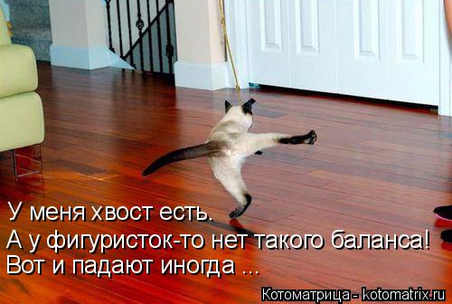 Котоматрица: У меня хвост есть.  А у фигуристок-то нет такого баланса! Вот и падают иногда ...