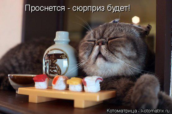 Проснется - сюрприз будет!... Котоматрица: Проснется - сюрприз будет!