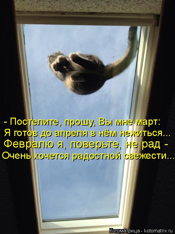 Котоматрица: - Постелите, прошу, Вы мне март: Я готов до апреля в нём нежиться... Февралю я, поверьте, не рад -  Очень хочется радостной свежести...