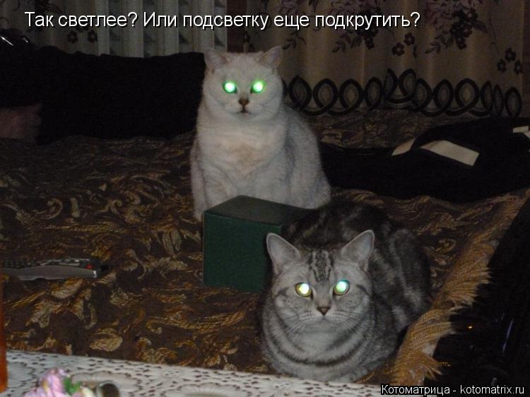 Котоматрица: Так светлее? Или подсветку еще подкрутить?