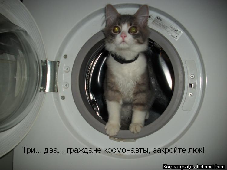 Три... два... граждане космонавты, закройте люк!... Котоматрица: Три... два... граждане космонавты, закройте люк!