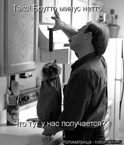 Котоматрица: Такс! Брутто минус нетто...  Что тут у нас получается?