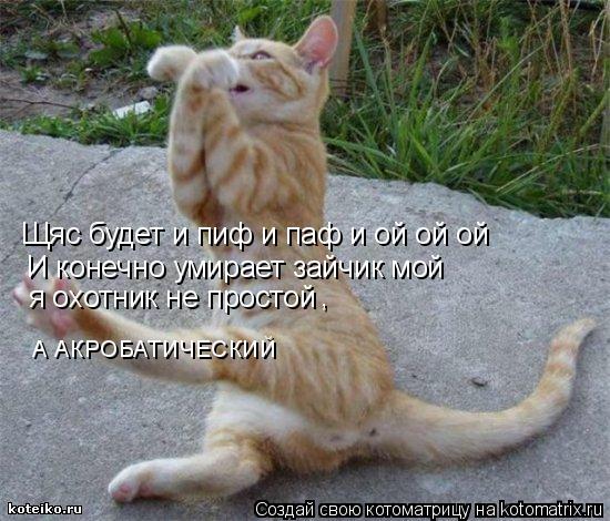 Щяс будет и пиф и паф и ой ой ой И конечно умирает зайчик мой я охотник не простой , А АКРОБАТИЧЕС... Котоматрица: Щяс будет и пиф и паф и ой ой ой И конечно умирает зайчик мой я охотник не простой , А АКРОБАТИЧЕСКИЙ