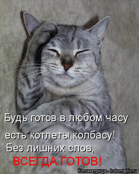 Котоматрица: Будь готов в любом часу есть котлеты,колбасу! Без лишних слов, ВСЕГДА ГОТОВ!