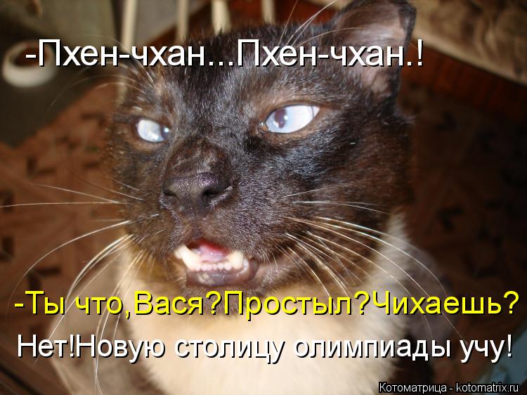 Котоматрица: -Пхен-чхан...Пхен-чхан.! -Ты что,Вася?Простыл?Чихаешь? Нет!Новую столицу олимпиады учу!