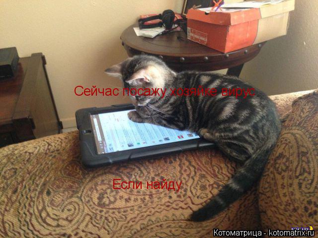 Котоматрица: Сейчас посажу хозяйке вирус Если найду