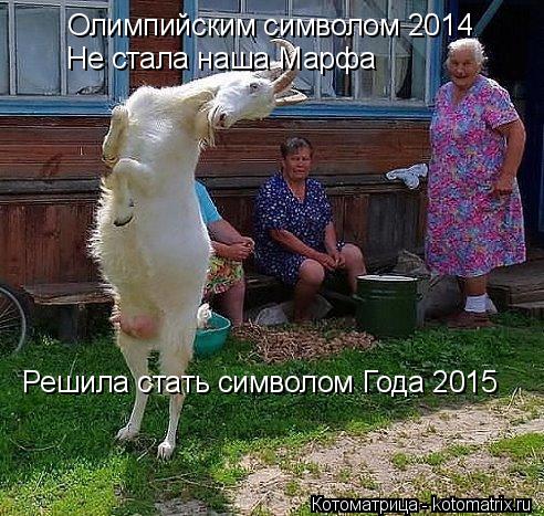 Котоматрица: Олимпийским символом 2014 Не стала наша Марфа Решила стать символом Года 2015