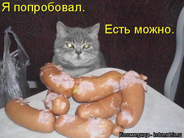 Котоматрица: Я попробовал. Есть можно.