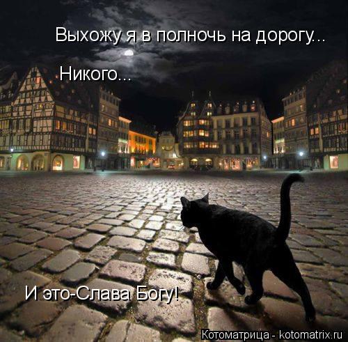 Котоматрица: Выхожу я в полночь на дорогу... Никого... И это-Слава Богу!