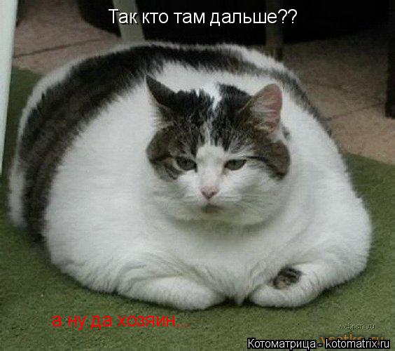 Так кто там дальше?? а ну да хозяин...... Котоматрица: Так кто там дальше?? а ну да хозяин...