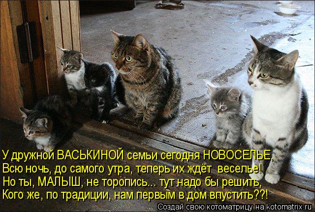 Котоматрица: У дружной ВАСЬКИНОЙ семьи сегодня НОВОСЕЛЬЕ, Всю ночь, до самого утра, теперь их ждёт  веселье! Но ты, МАЛЫШ, не торопись... тут надо бы решить, 