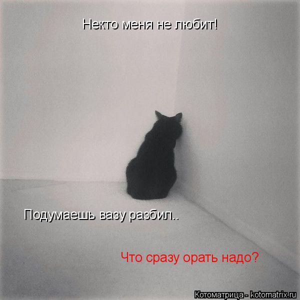 Некто меня не любит! Подумаешь вазу разбил.. Что сразу орать надо?... Котоматрица: Некто меня не любит! Подумаешь вазу разбил.. Что сразу орать надо?