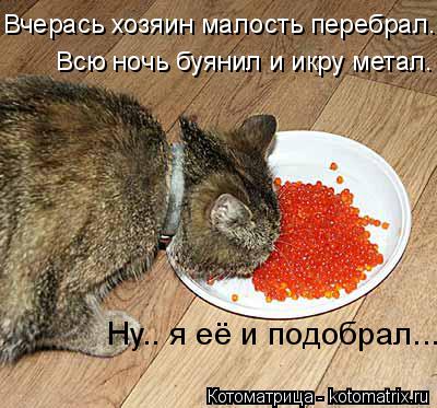 Котоматрица: Вчерась хозяин малость перебрал. Всю ночь буянил и икру метал. Ну.. я её и подобрал...