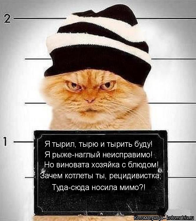 Статус в чем я виновата Статус в чем я виновата