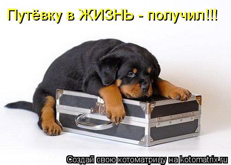 Котоматрица: Путёвку в ЖИЗНЬ - получил!!!