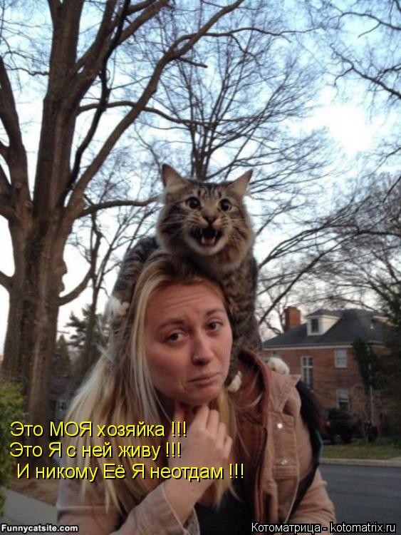 Котоматрица: Это МОЯ хозяйка !!! Это Я с ней живу !!!  И никому Её Я неотдам !!!