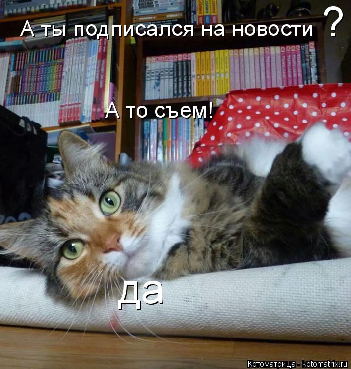 Котоматрица: А ты подписался на новости А то съем! ? да