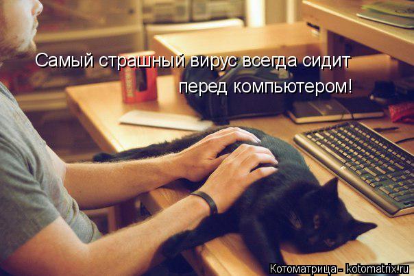 Котоматрица: Самый страшный вирус всегда сидит перед компьютером!