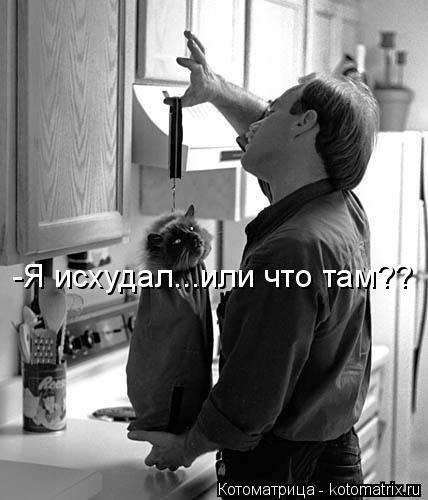 Котоматрица: -Я исхудал...или что там??