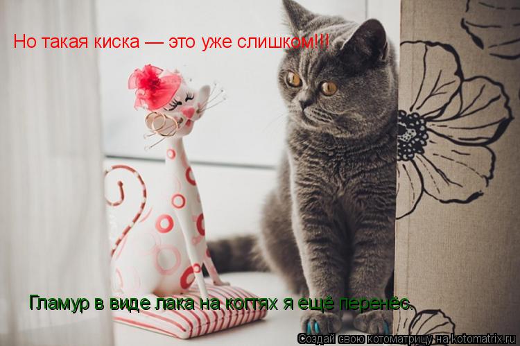 Котоматрица: Гламур в виде лака на когтях я ещё перенёс. Но такая киска — это уже слишком!!!