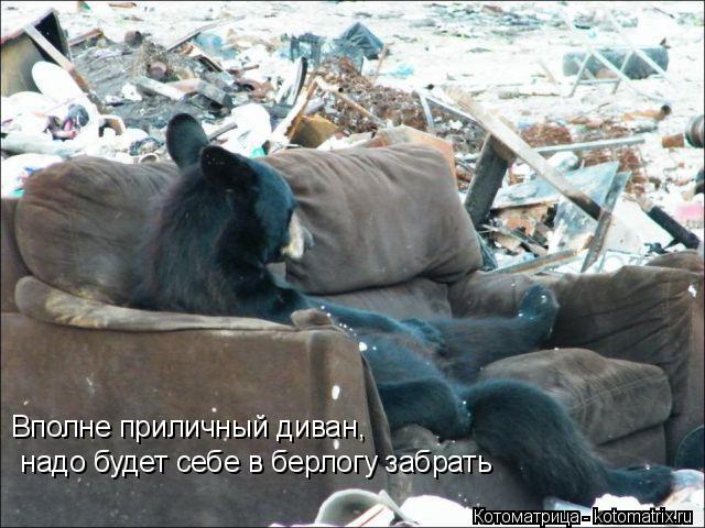 Котоматрица: Вполне приличный диван,  надо будет себе в берлогу забрать
