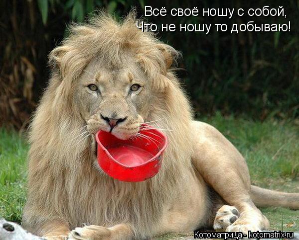 Котоматрица: Всё своё ношу с собой, Что не ношу то добываю!