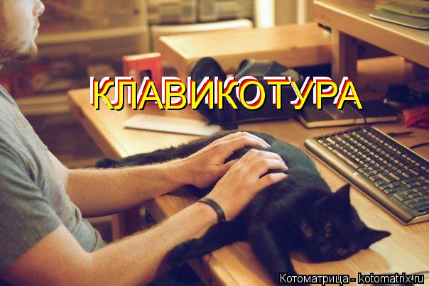 Котоматрица: КЛАВИКОТУРА КЛАВИКОТУРА КЛАВИКОТУРА