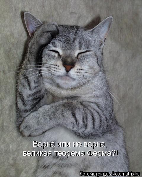 Верна или не верна, великая теорема Ферма?!... Котоматрица: Верна или не верна, великая теорема Ферма?!