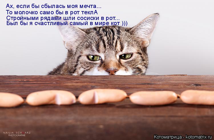 Котоматрица: Ах, если бы сбылась моя мечта... Был бы я счастливый самый в мире кот ))) Стройными рядами шли сосиски в рот... То молочко само бы в рот теклА