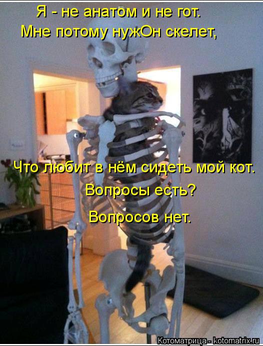 Я - не анатом и не гот. Мне потому нужОн скелет, Что любит в нём сидеть мой кот. Вопросы есть? Вопрос... Котоматрица: Я - не анатом и не гот. Мне потому нужОн скелет, Что любит в нём сидеть мой кот. Вопросы есть? Вопросов нет.