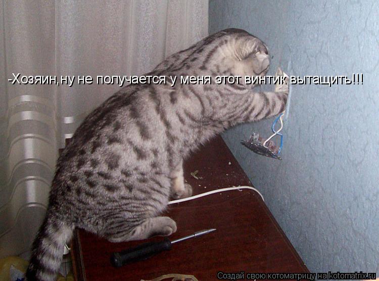 Котоматрица: -Хозяин,ну не получается у меня этот винтик вытащить!!!