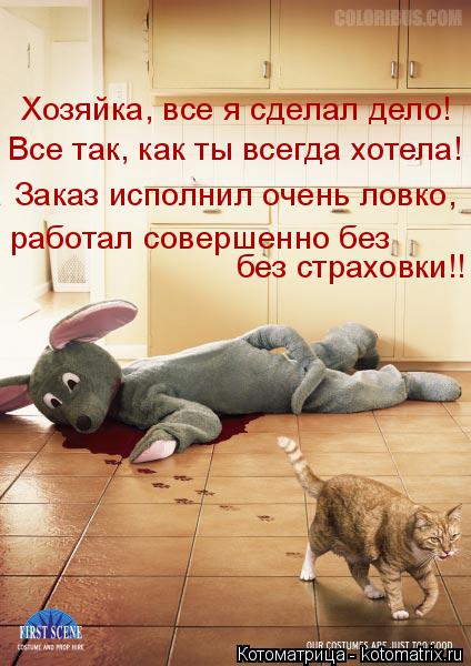 Котоматрица: Хозяйка, все я сделал дело! Все так, как ты всегда хотела! Заказ исполнил очень ловко, работал совершенно без  без страховки!!