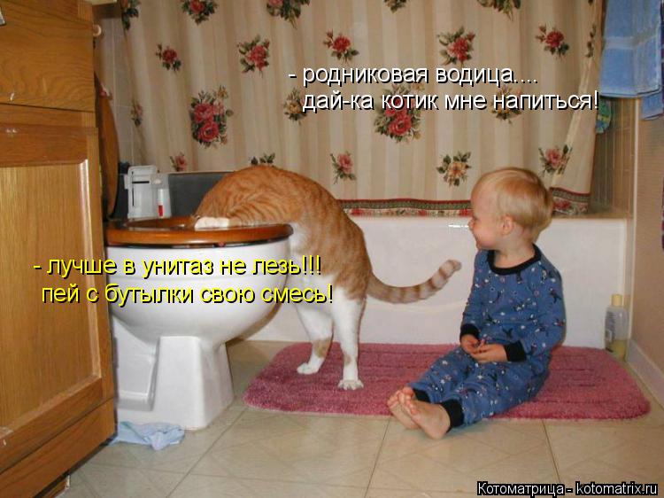 Котоматрица: - родниковая водица.... дай-ка котик мне напиться! - лучше в унитаз не лезь!!! пей с бутылки свою смесь!