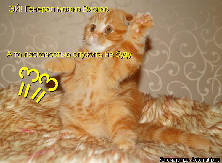 Котоматрица: ЭЙ! Генерал можно Вискас А то ласковостью служить не буду =3 =3 =3