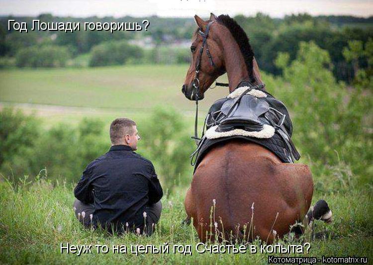 Котоматрица: Год Лошади говоришь? Неуж то на целый год Счастье в копыта?