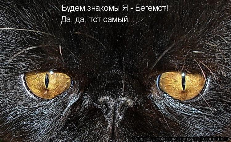 Котоматрица: Будемзнакомы Будем знакомы Я - Бегемот! Да, да, тот самый...