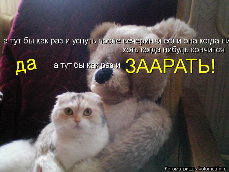 Котоматрица: а тут бы как раз и   а тут бы как раз и уснуть после вечеринки если она когда нибудь кончитс хоть когда нибудь кончится ЗААРАТЬ! да