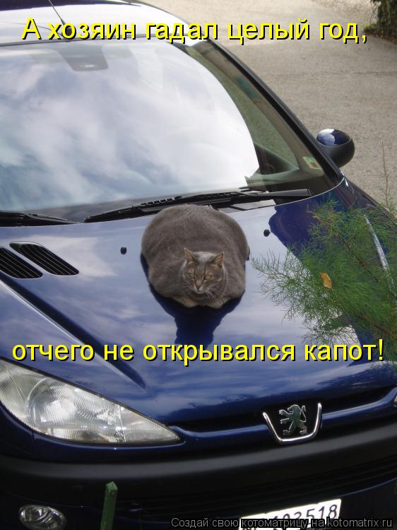 Котоматрица: А хозяин гадал целый год, отчего не открывался капот!