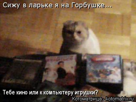 Котоматрица: Сижу в ларьке я на Горбушке Тебе кино или к компьютеру игрушки? ...