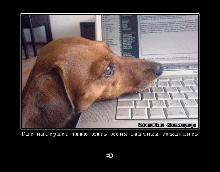 Где интернет тваю мать меня танчики заждались =D... Котоматрица: Где интернет тваю мать меня танчики заждались =D