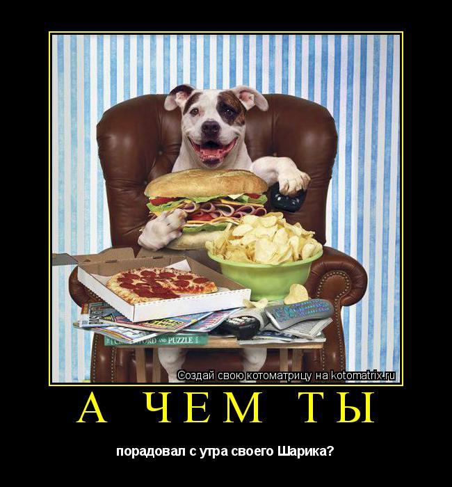 Котоматрица: А ЧЕМ ТЫ порадовал с утра своего Шарика?