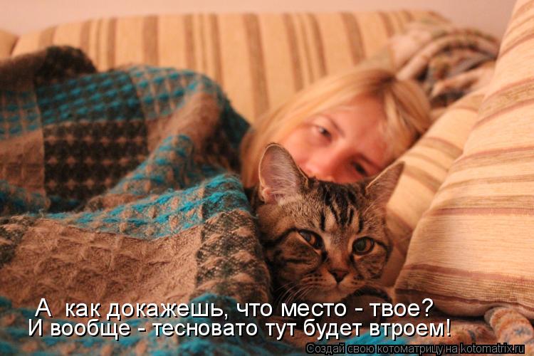 Котоматрица: А  как докажешь, что место - твое? И вообще - тесновато тут будет втроем!