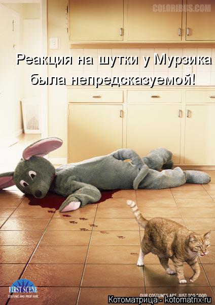 Котоматрица: Реакция на шутки у Мурзика была непредсказуемой!