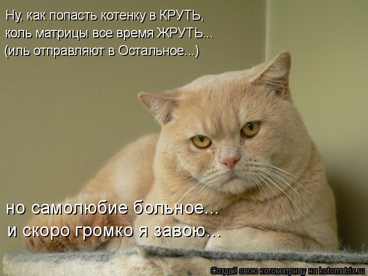 Котоматрица: Ну, как попасть котенку в КРУТЬ,  коль матрицы все время ЖРУТЬ... (иль отправляют в Остальное...) но самолюбие больное... и скоро громко я завою...
